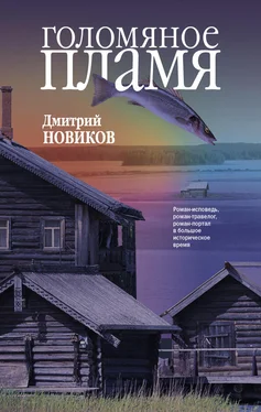 Дмитрий Новиков Голомяное пламя обложка книги
