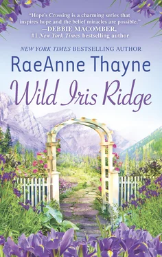 RaeAnne Thayne Wild Iris Ridge обложка книги