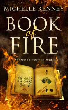 Michelle Kenney Book of Fire обложка книги