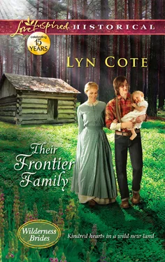 Lyn Cote Their Frontier Family обложка книги