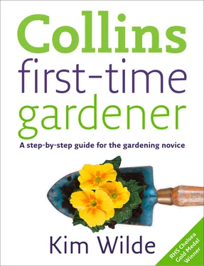 Kim Wilde First-time Gardener обложка книги
