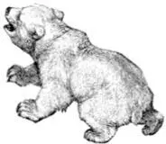 Beast Many dreams feature beasts or animals that are of no particular - фото 14