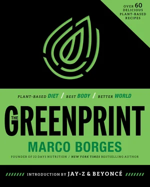 Marco Borges The Greenprint обложка книги