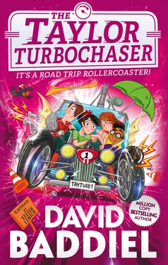 David Baddiel The Taylor TurboChaser обложка книги