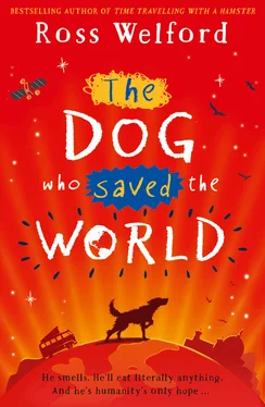 Ross Welford The Dog Who Saved the World обложка книги