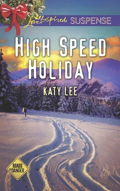 Katy Lee High Speed Holiday обложка книги