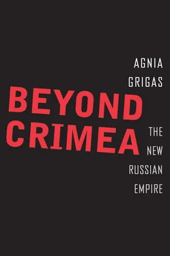 Agnia Grigas Beyond Crimea обложка книги