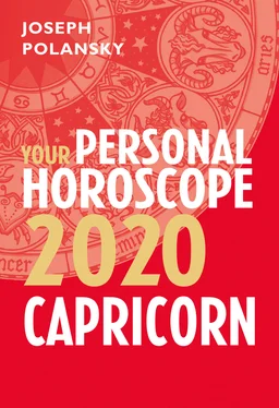Joseph Polansky Capricorn 2020: Your Personal Horoscope обложка книги