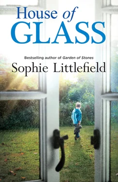 Sophie Littlefield House of Glass обложка книги