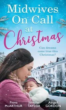 Fiona McArthur Midwives On Call At Christmas обложка книги