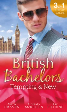 Liz Fielding British Bachelors: Tempting & New обложка книги