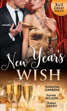 Robyn Grady New Year's Wish обложка книги
