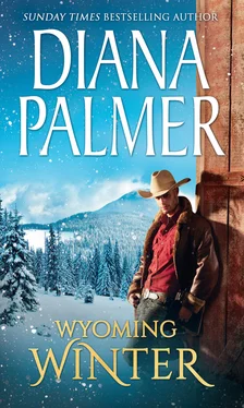 Diana Palmer Wyoming Winter обложка книги