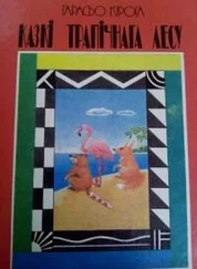 Гарасьо Кірога - Казкі трапічнага лесу