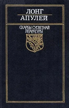 Array Лонг Пастушыная гісторыя пра Дафніса і Хлою обложка книги