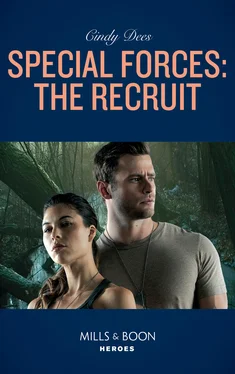 Cindy Dees Special Forces: The Recruit обложка книги