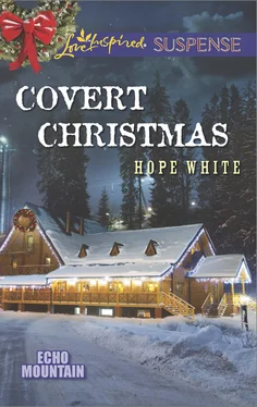 Hope White Covert Christmas обложка книги