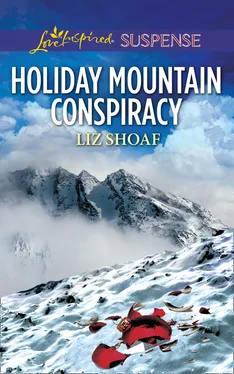 Liz Shoaf Holiday Mountain Conspiracy обложка книги