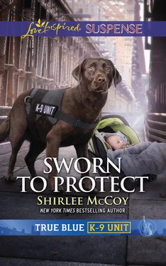 Shirlee McCoy Sworn To Protect обложка книги