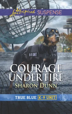 Sharon Dunn Courage Under Fire обложка книги
