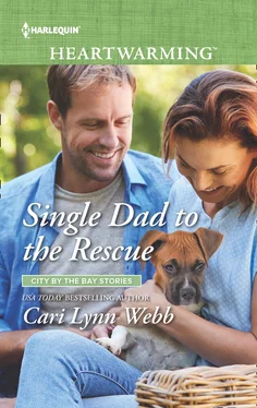 Cari Lynn Single Dad To The Rescue обложка книги