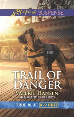 Valerie Hansen Trail Of Danger обложка книги