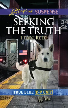 Terri Reed Seeking The Truth обложка книги