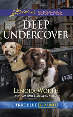 Lenora Worth Deep Undercover обложка книги