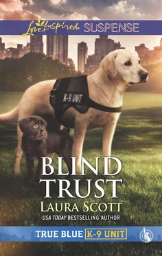 Laura Scott Blind Trust обложка книги