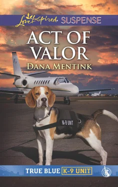 Dana Mentink Act Of Valor обложка книги