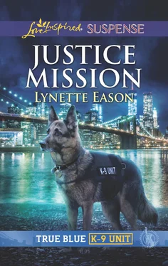 Lynette Eason Justice Mission обложка книги