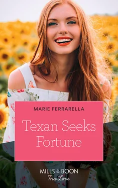 Marie Ferrarella Texan Seeks Fortune обложка книги