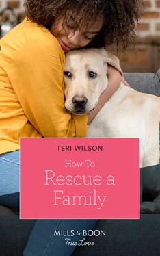 Teri Wilson How To Rescue A Family обложка книги