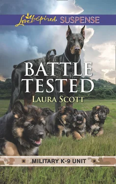 Laura Scott Battle Tested обложка книги