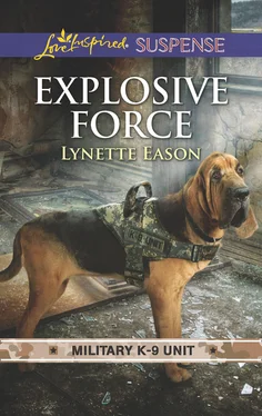 Lynette Eason Explosive Force обложка книги