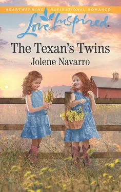 Jolene Navarro The Texan's Twins обложка книги