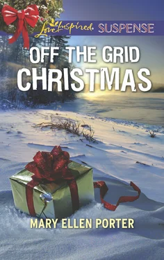Mary Ellen Porter Off The Grid Christmas обложка книги