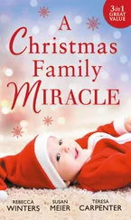 Rebecca Winters - A Christmas Family Miracle