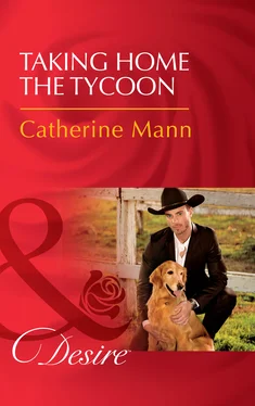 Catherine Mann Taking Home The Tycoon обложка книги