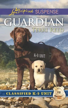 Terri Reed Guardian обложка книги