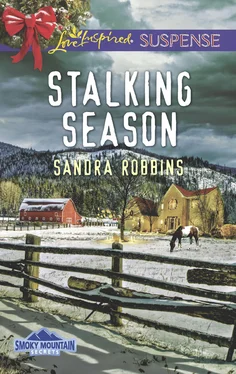 Sandra Robbins Stalking Season обложка книги