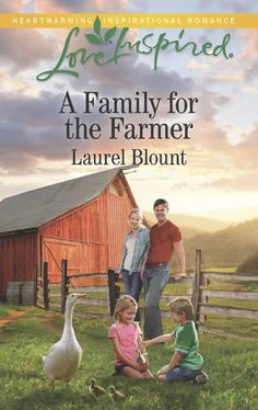 Laurel Blount A Family For The Farmer обложка книги