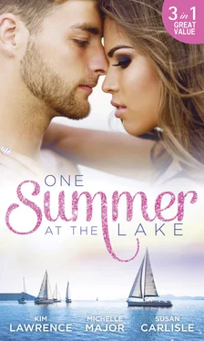 Susan Carlisle One Summer At The Lake обложка книги