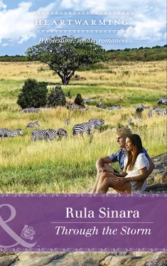 Rula Sinara Through The Storm обложка книги