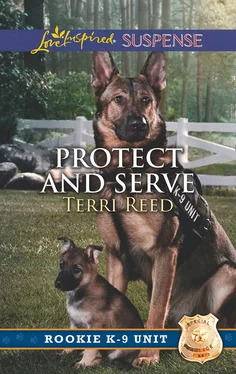 Terri Reed Protect And Serve обложка книги