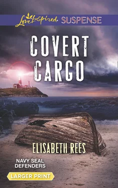 Elisabeth Rees Covert Cargo обложка книги