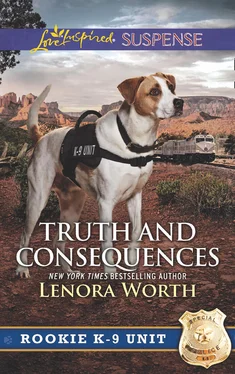 Lenora Worth Truth And Consequences обложка книги