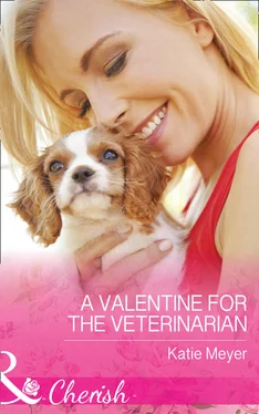 Katie Meyer A Valentine For The Veterinarian обложка книги