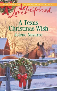 Jolene Navarro A Texas Christmas Wish обложка книги