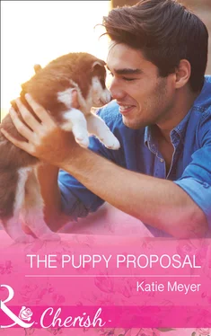 Katie Meyer The Puppy Proposal обложка книги